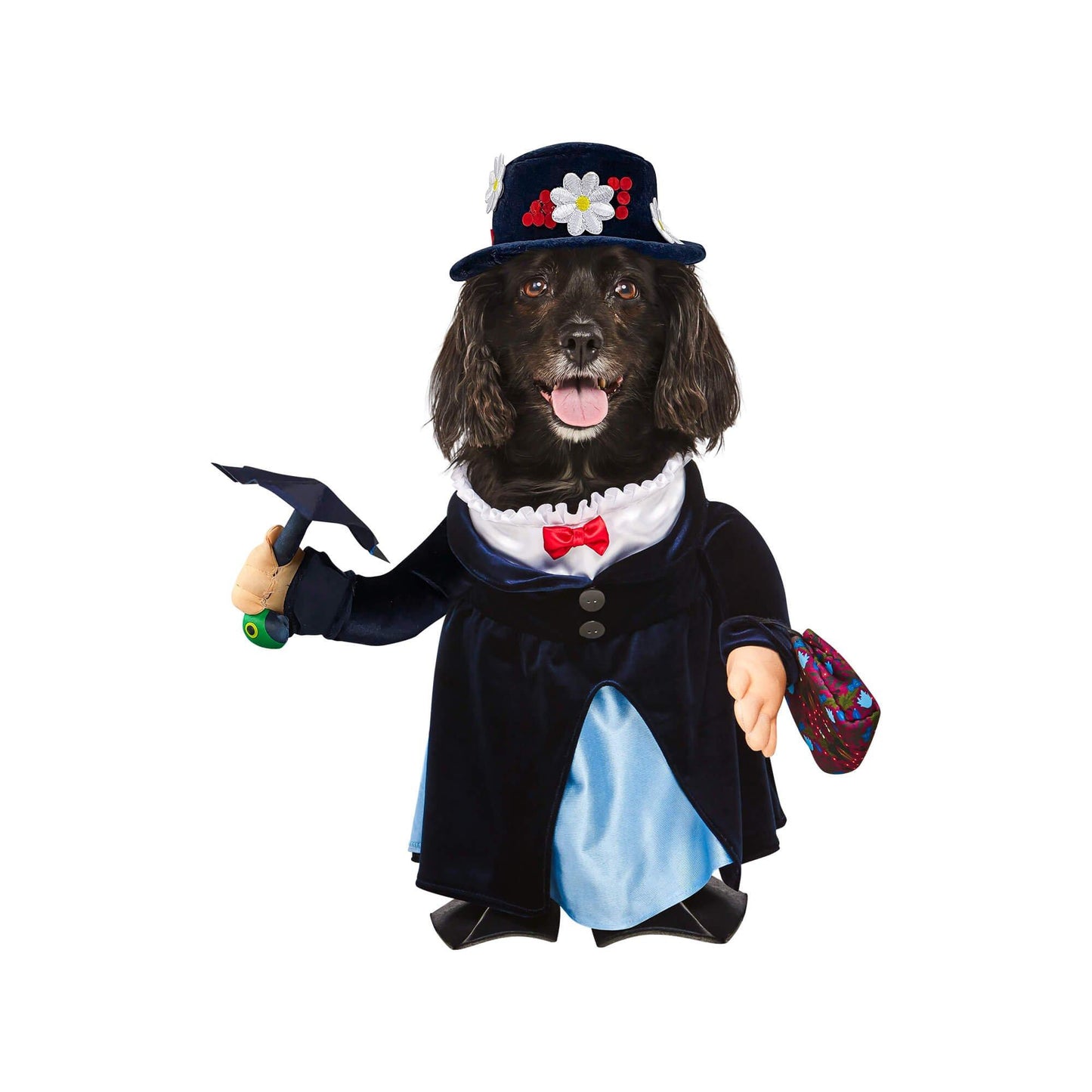 master-Mary Poppins Walking Pet Costume-P1011413