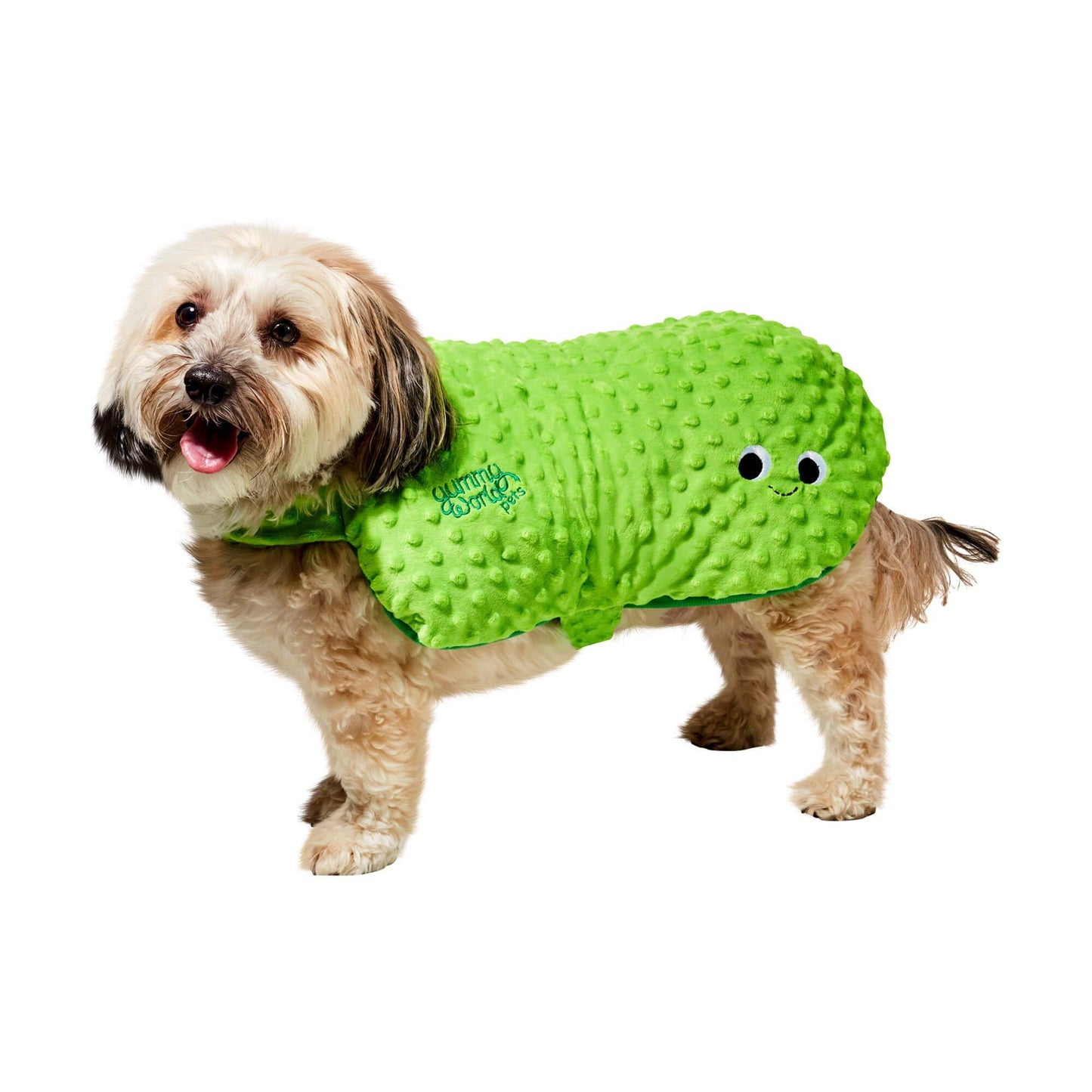 master-Yummy World Big Dill Pickle Pet Costume by Kidrobot-P1011483