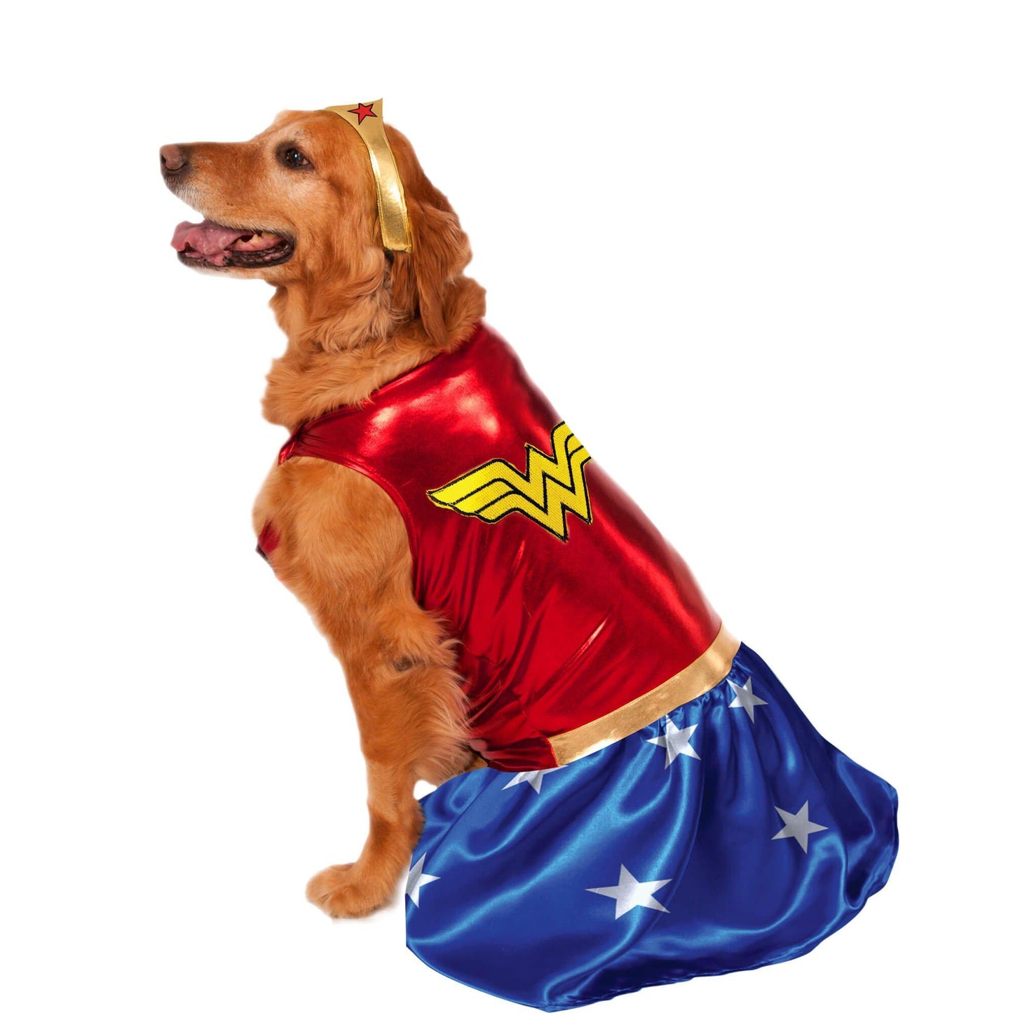 master-DC Comics Wonder Woman Big Dog Pet Costume-P1012330