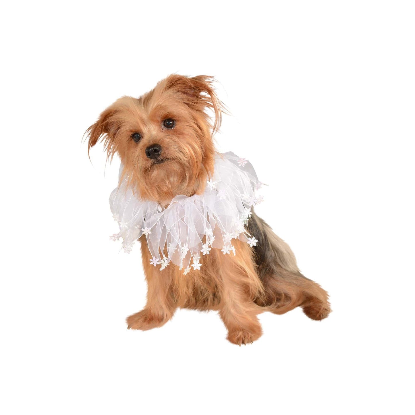 master-White Snowflakes Pet Collar-P1018120