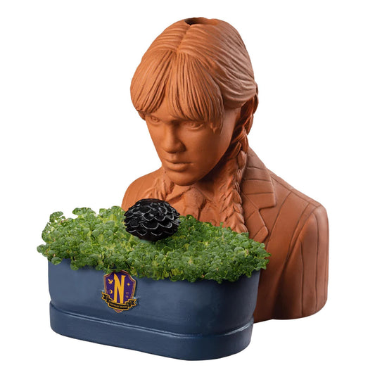 Addams Family Wednesday Chia Pet