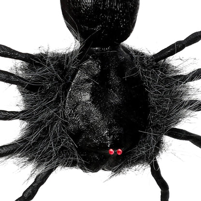 Creepy Dropping Spider
