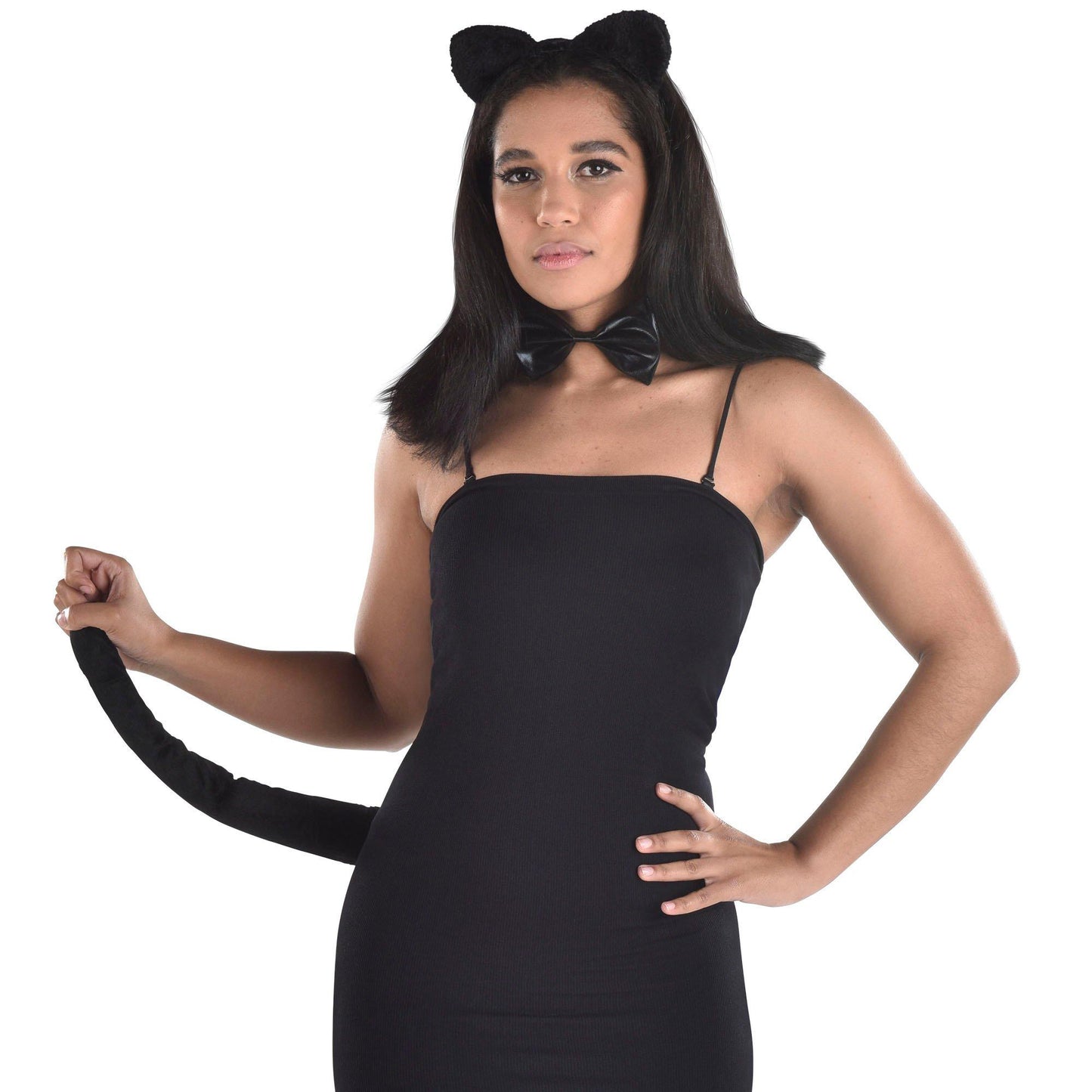 master-Adult Cat Accessory Kit-84970