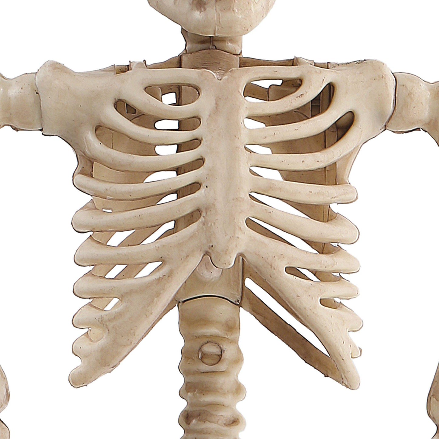 master-Miniature Poseable Skeleton, 8in-923419