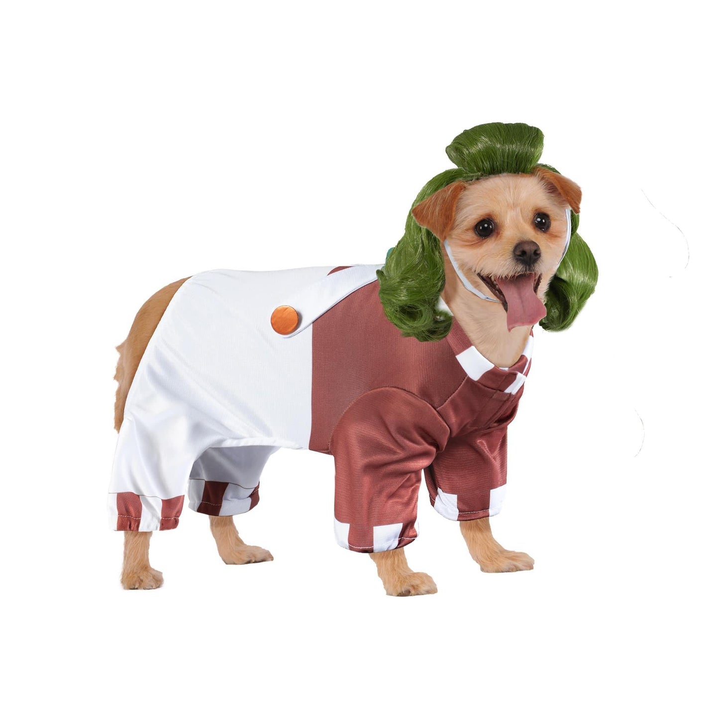 master-Willy Wonka Oompa Loompa Pet Costume-P1011466