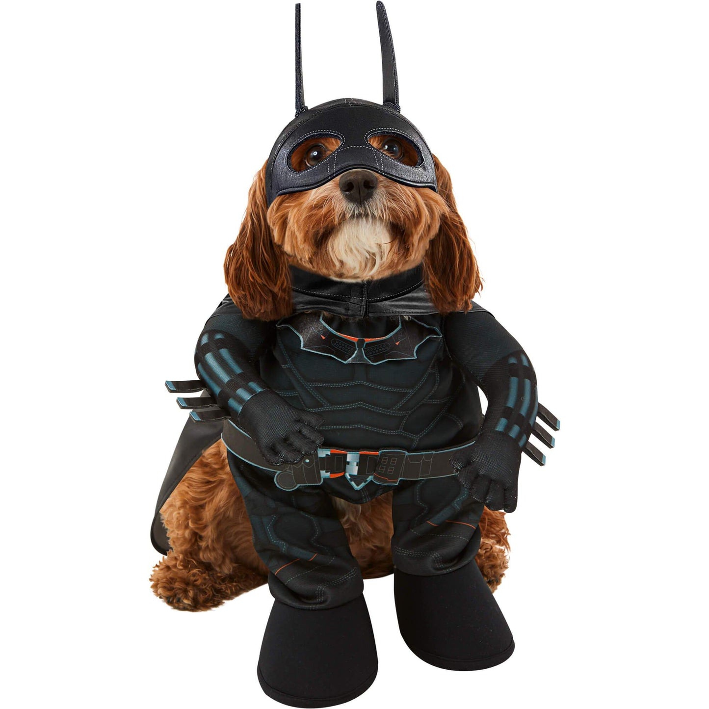 master-The Batman Pet Costume-P1011648