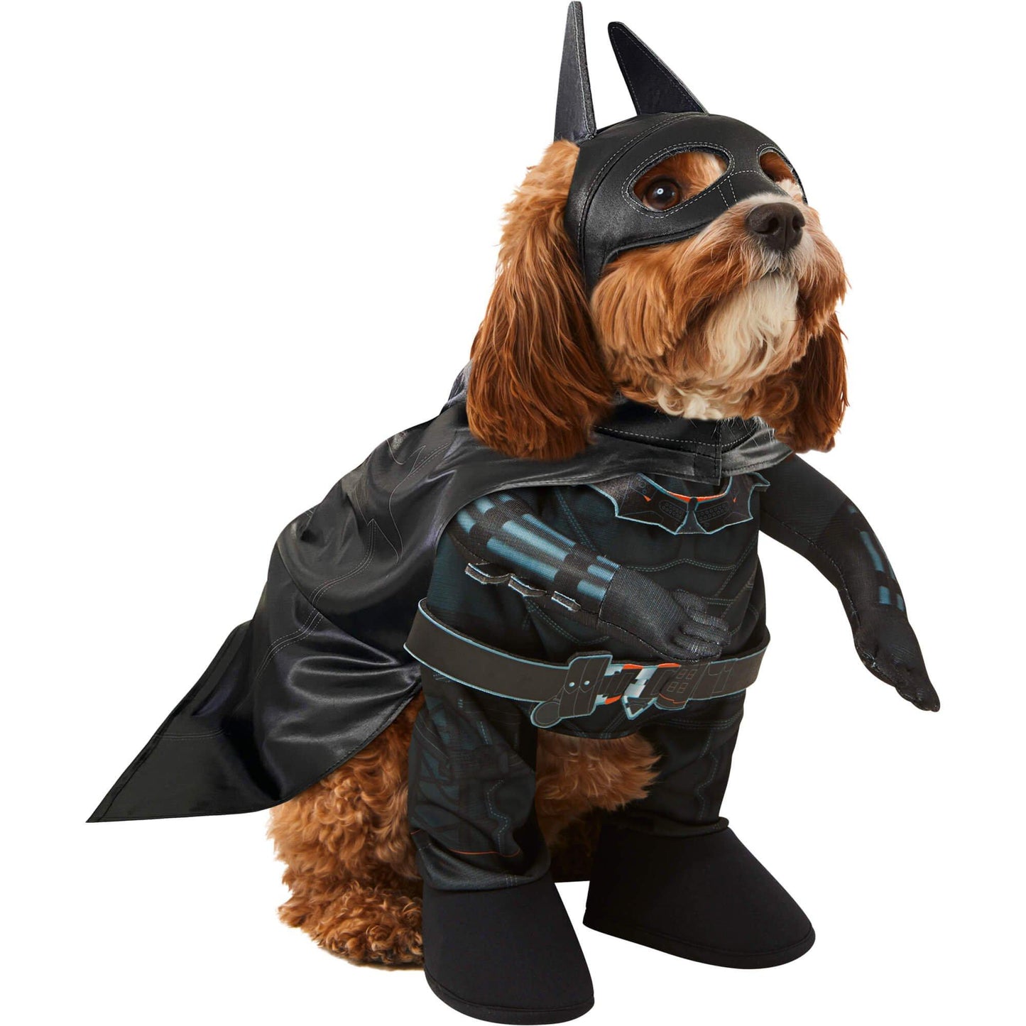 master-The Batman Pet Costume-P1011648