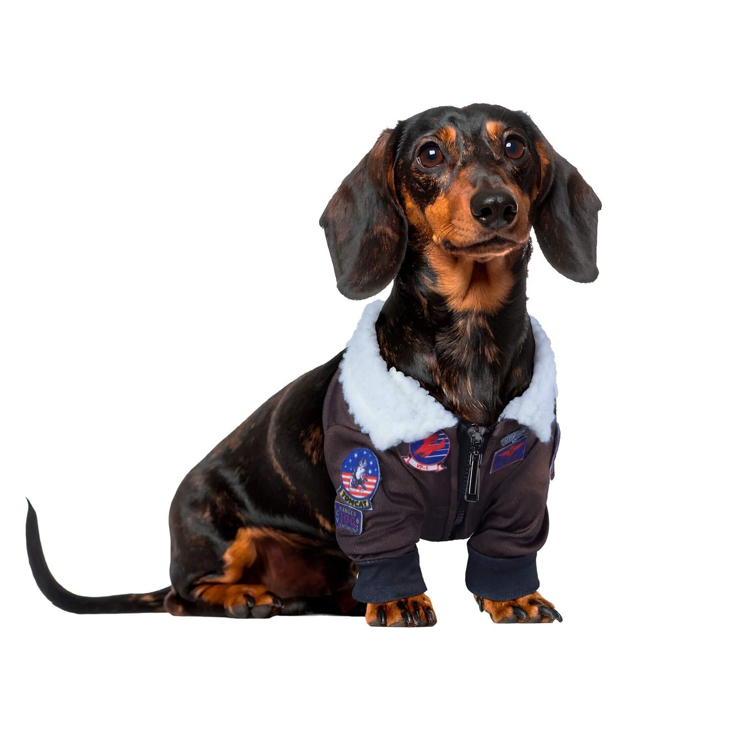 master-Top Gun Pet Jacket-P1011701