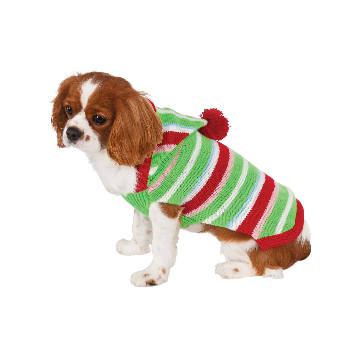 master-Pet Candy Striped Sweater Costume-P1018143