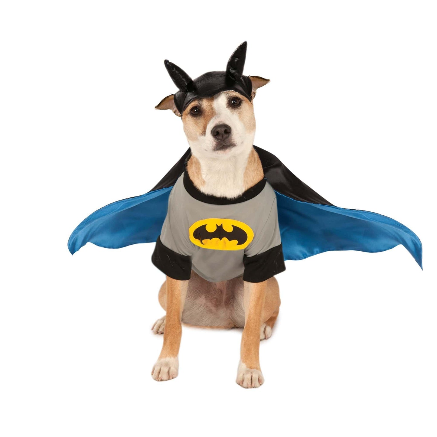 master-Batman Pet Costume-P630711