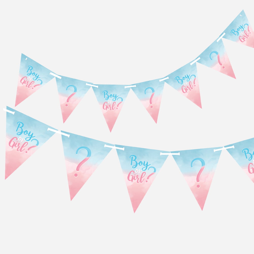 Pink and blue watercolor gender reveal bunting banners featuring the text "Boy or Girl?" and question marks.