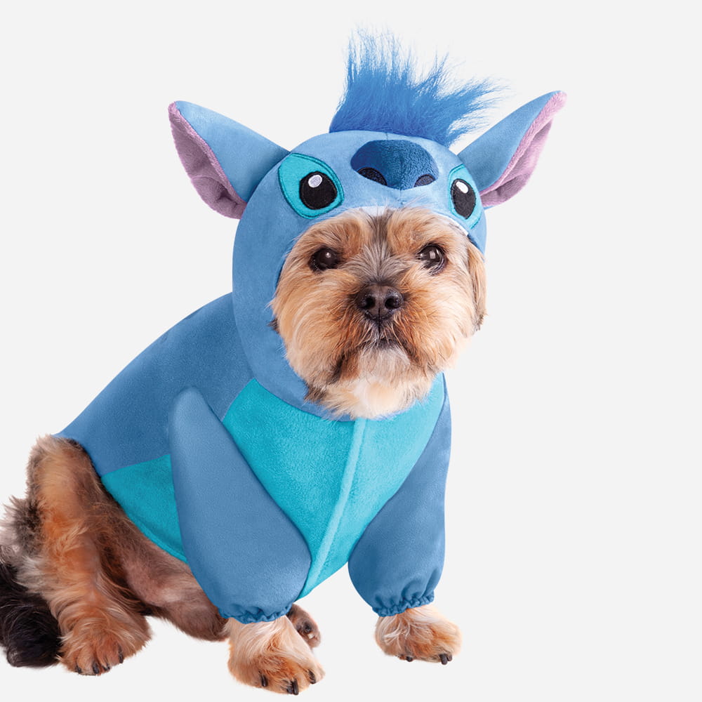 A small brown dog wearing a blue Stitch costume from Disney's Lilo & Stitch.