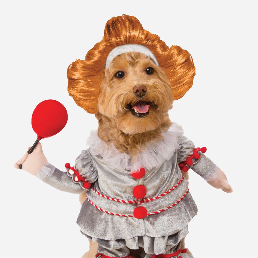 A small brown dog wearing a Pennywise the clown costume with an orange wig and holding a red balloon.