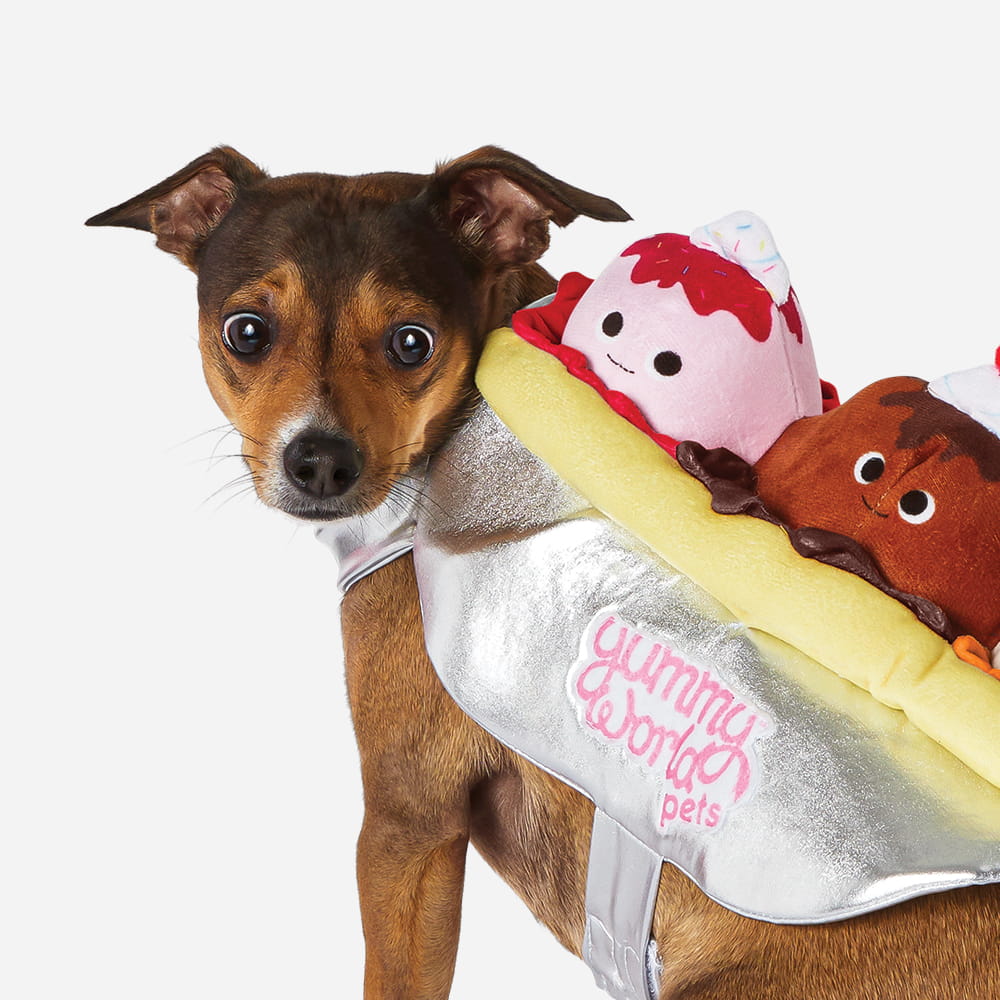 Small brown dog wearing a silver "Yummy World" banana split ice cream sundae costume against a white background.