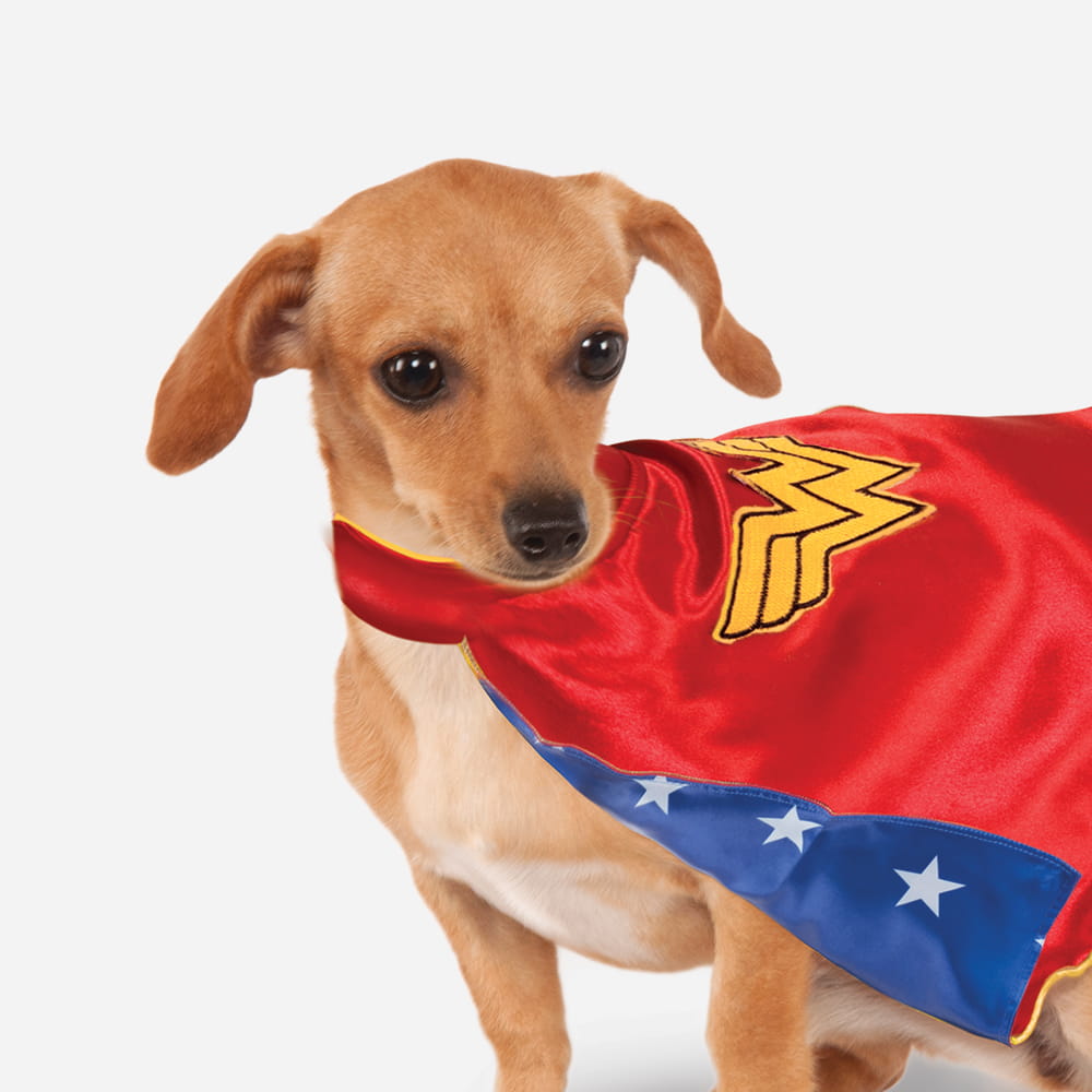A small tan dog wearing a red Wonder Woman cape with a gold logo and blue star-patterned trim.