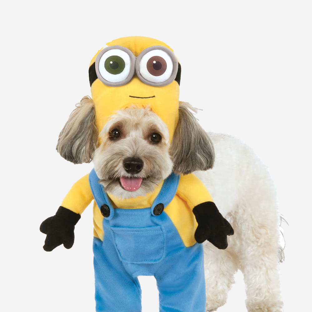 Small white dog wearing a Minion costume with a yellow hood and blue overalls.